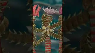 The Seafood Planet: What lives in the Trunk Worm Forest (Part 1)