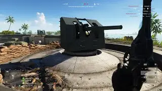Coastal Cannon Attack