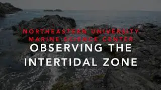 Exploring the Rocky Intertidal: Tidepool Tools