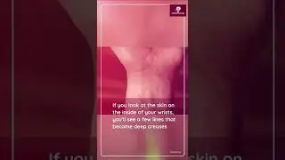 NAME YOUR WRIST TODAY?????? || MECHfactody #shorts #shortvideo #fact #short