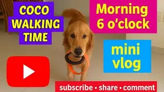 Coco&rsquo;s 6AM Walk &ndash; Funny Morning Routine | Cute Dog Mini Vlog 🐶✨#youtube 