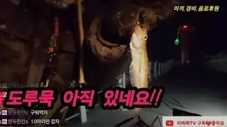 도루묵1.돌도다리1.우럭2.게1⚘️동해바다 원투낚시