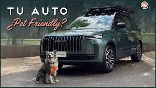 &iquest;C&Oacute;MO hacer que tu auto sea PET FRIENDLY? - Tips que te ayudar&aacute;n MUCHO