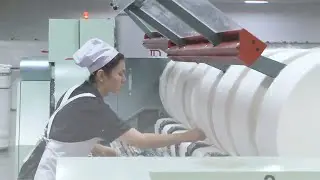 GLOBALink | Chinese scholars debunk 