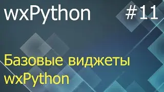wxPython #11: Basic Widgets - StaticText, TextCtrl, Button, ToggleButton, CheckBox, and More