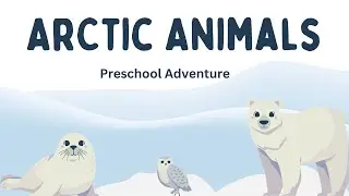 ☃️❄️Arctic Animals Preschool Learning Video