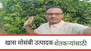 खास मोसंबी उत्पादक शेतकऱ्यांसाठी,