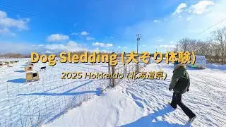 [4K] Dog Sledding in Hokkaido ❄️🐕 | Mushing Works Tokachi | Winter Japan Experience