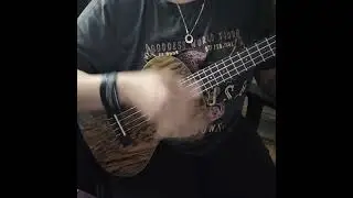 strum pattern chord progression practice tenor ukulele #ukulelebeginner #tenorukulele #ukulele