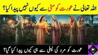 New || Does Female Created By Male Rib ||  عورت کو مٹی سے کیوں نہیں پیدا کیا گیا؟ || @INFOatADIL