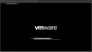 Installing VMware Tools for z1rov Dotfiles