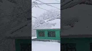 Live snow in Kashmir 😮❤️❤️#jannatkashmir #mountains #glacier #travel #snowfall #sonmarg #kashmir