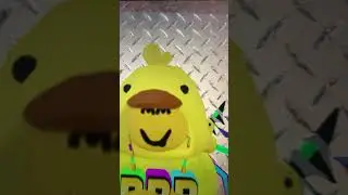 Pov your a duck getting kidnapped