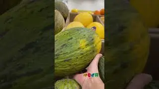 Santa Claus melon (piel de sapo) fruit #shorts very juicy and sweet