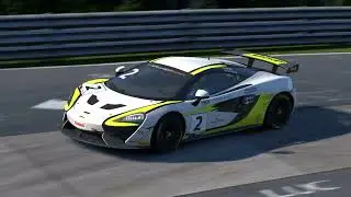 Nordschleife GT4 Tight Race Raceroom Racing Experience 2026 01 12