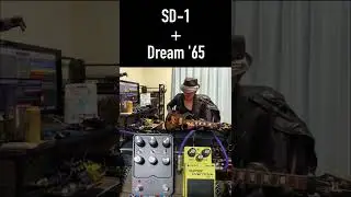 Universal Audio Dream '65 + Boss SD-1 Guitar Solo #shorts