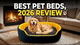Best Orthopedic Dog Bed for All Dogs | Soft & Comfortable Pet Bed | Furry Smile Dog Beds