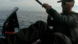 Kayak fishing, dentex-dentex