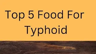 Top 5 Food For Typhoid| Typhoid Fever| Diet| Exercise| Virus| Vaccine| Antibody| Fruit| Typhoid Food