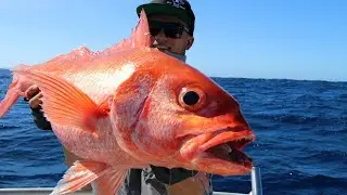 60 DAYS IN THE WILDERNESS EP 5 - DEEP DROP DINNER | Deep water fishing | Catch and Cook