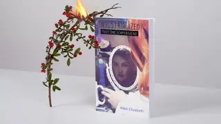 Industrialized, Part One: Experiment Animated Book Promo