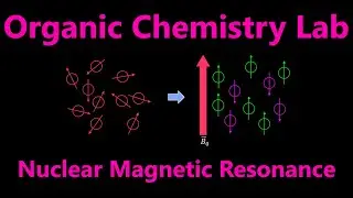 Proton Nuclear Magnetic Resonance (¹HNMR) | Organic Chemistry Lab Techniques