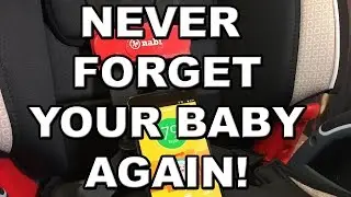 The Nabi  &diams; Skavaen Rants