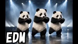 10 Panda Dance Performances 🐼🔥 | EDM Hip-Hop Stage Compilation #01