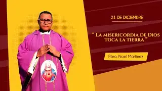 En la oración está la respuesta | IV domingo de adviento | Evangelio y homilía