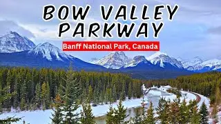 Scenic Drives: The Bow Valley Parkway | Winter Scenery | Banff National Park, Canada [4K]