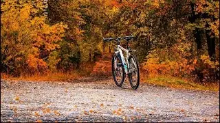 Ciclista pedalando com a bicicleta da shopee, na shopee tem a bicicleta que você precisa , parte 62