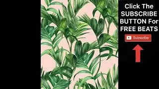 Type Beats (FREE) FLATBUSH ZOMBIES TYPE BEAT 