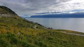 VAUD Vignoble du Lavaux