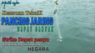 Mancing teknik pancing jaring dapat banyak..  🐟🐟🐟dapat strike penyu 🐢🐢  hewan yang di lindungi