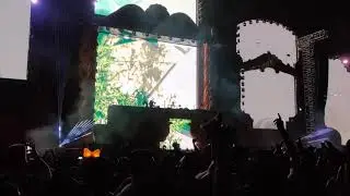 Lost Frequencies at Sunburn Goa 2019 | EDM
