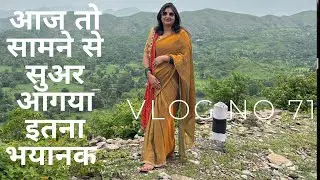 आज तो बाल बाल बची वरना सुअर ने तो कर देना था मेरा काम तमाम #vlog #daily #youtube #dailyvlog #new 
