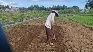 SECRET METHOD TO BOOST SOIL FERTILITY & HEALTH WITH SIMPLE TOOLS! -Agriculture Farming