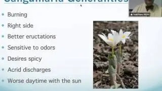 Sanguinaria Canadensis: Homeopathic Medicine -Tips For Beginners