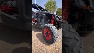 Best Buggy Ride in the desert.         #desrtsafari #desertworld #redsand   #dunebashing #buggyride