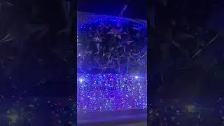 M&eacute;xico Benavides cerralvo