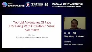 Cognitive and Neural Mechanisms of Consciousness