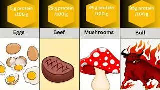 Top 30 Testosterone Foods Every Man Needs