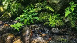 ASMR | Building a Tiny Riverside Oasis: 🌊Natural Spring Edition🌿🌿