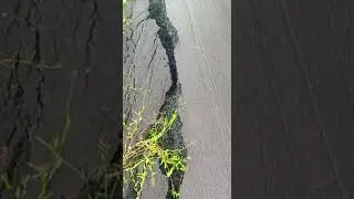 Andhra pradesh road conditions