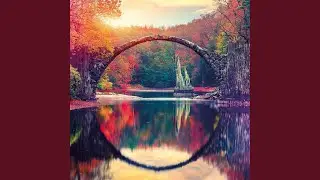 Mindful Reflection