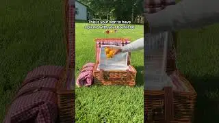 The cutest date idea!!!🥹🧺💖 #picnic #picnicdate #dateideas #couple