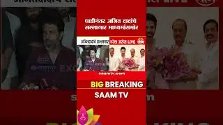 Designbox कार्यालयावर छापा पडल्यानंतर Naresh Arora यांची प्रतिक्रिया काय?