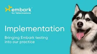 How can veterinarians incorporate dog DNA testing into their practice? | Embark for Veterinarians