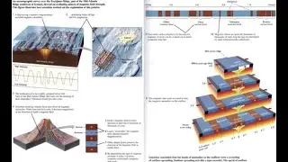 Paleomagnetism