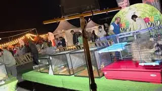 Muscat Nights 2026  | Al Seeb Beach |  Al Amerat park Fireworks | Oman 